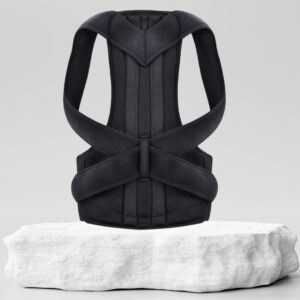 حزام الظهر الأصلي