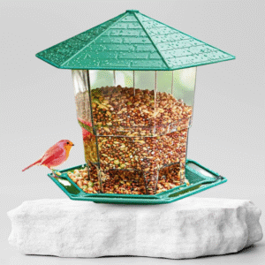 مغذية الطيور h12G